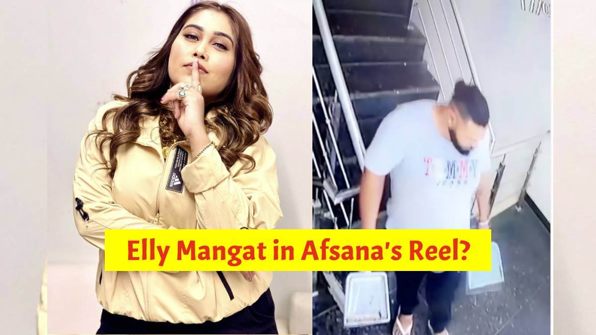 Instagrammers ask, “Is he Elly Mangat in The Viral Reel of Afsana Khan?”